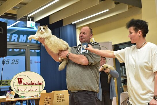 Limbach 2019 - Best of best Halblanghaar Sonntag