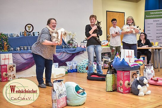 Limbach 2019 - Alle best of best Katzen Samstag