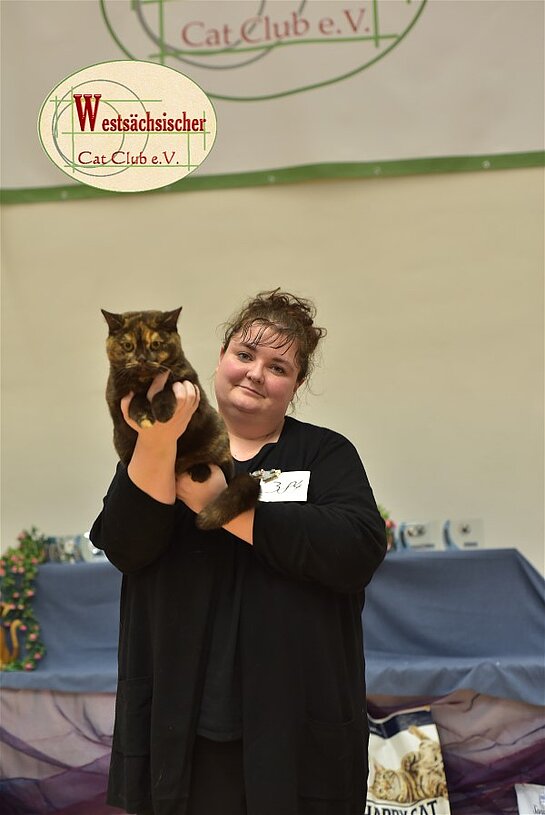 Limbach 2019 - Best of best Kurzhaar Sonntag