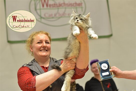 Best of best Langhaar Sonntag